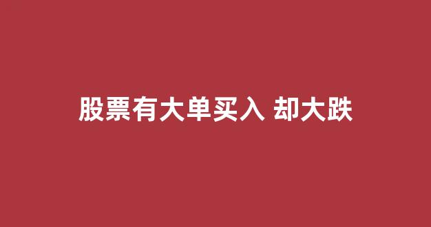 股票有大单买入 却大跌